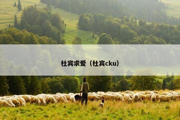 杜宾求爱（杜宾cku）