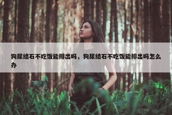 狗尿结石不吃饭能排出吗，狗尿结石不吃饭能排出吗怎么办