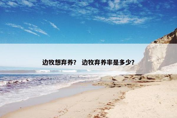 边牧想弃养? 边牧弃养率是多少? 边牧想弃养? 边牧弃养率是多少?