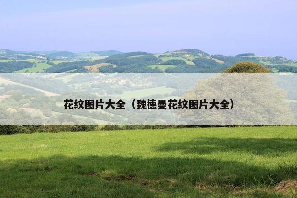 花纹图片大全（魏德曼花纹图片大全）