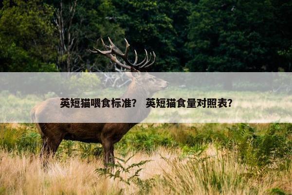 英短猫喂食标准？ 英短猫食量对照表？