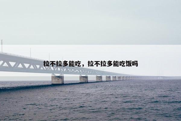 拉不拉多能吃，拉不拉多能吃饭吗