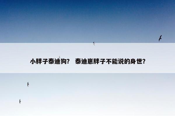 小胖子泰迪狗？ 泰迪崽胖子不能说的身世？