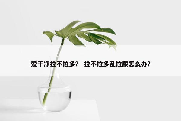 爱干净拉不拉多？ 拉不拉多乱拉屎怎么办？