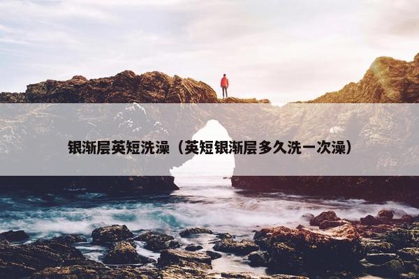 银渐层英短洗澡（英短银渐层多久洗一次澡）