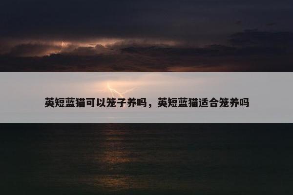 英短蓝猫可以笼子养吗，英短蓝猫适合笼养吗