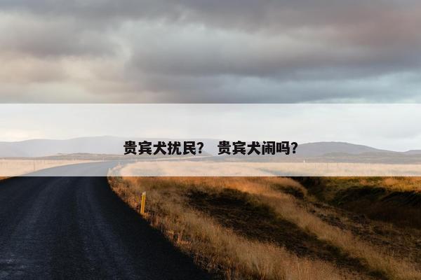 贵宾犬扰民？ 贵宾犬闹吗？