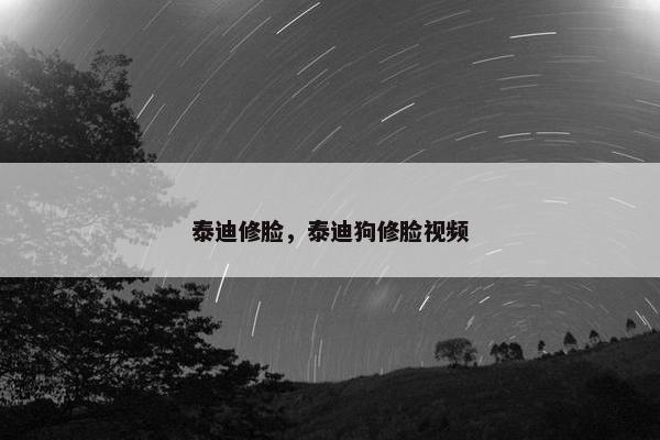 泰迪修脸，泰迪狗修脸视频