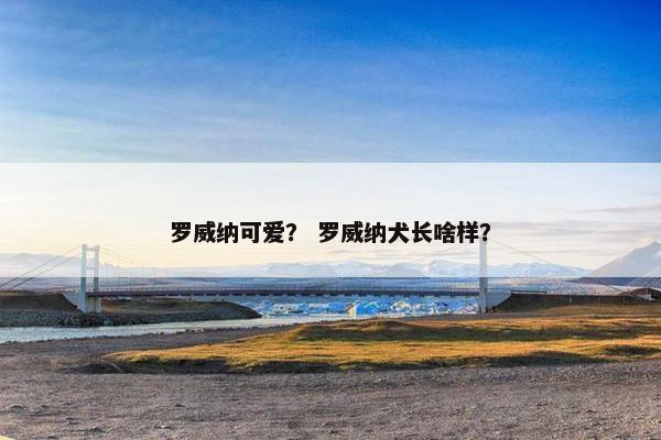 罗威纳可爱？ 罗威纳犬长啥样？