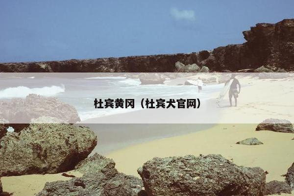 杜宾黄冈（杜宾犬官网）