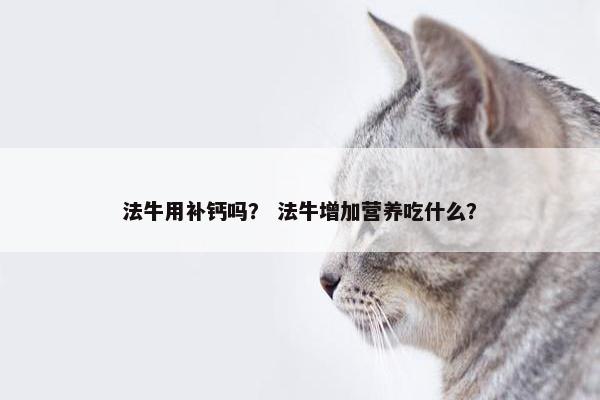 法牛用补钙吗？ 法牛增加营养吃什么？