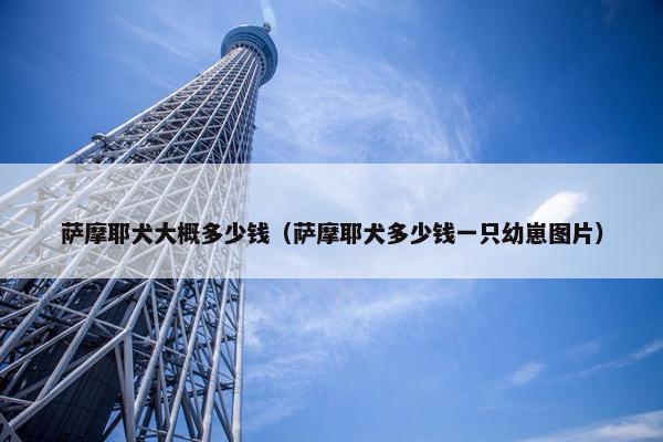 萨摩耶犬大概多少钱(萨摩耶犬多少钱一只幼崽图片) 萨摩耶犬大概多少钱(萨摩耶犬多少钱一只幼崽图片)