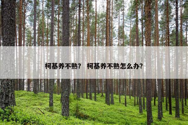 柯基养不熟? 柯基养不熟怎么办? 柯基养不熟? 柯基养不熟怎么办?