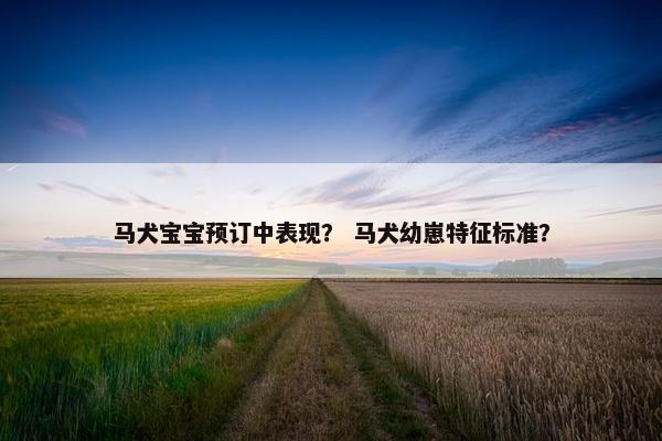 马犬宝宝预订中表现？ 马犬幼崽特征标准？
