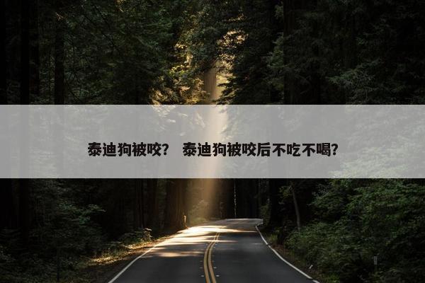 泰迪狗被咬? 泰迪狗被咬后不吃不喝? 泰迪狗被咬? 泰迪狗被咬后不吃不喝?