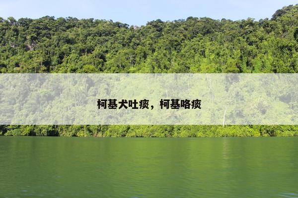 柯基犬吐痰，柯基咯痰