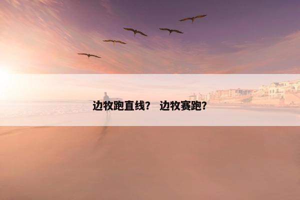 边牧跑直线？ 边牧赛跑？