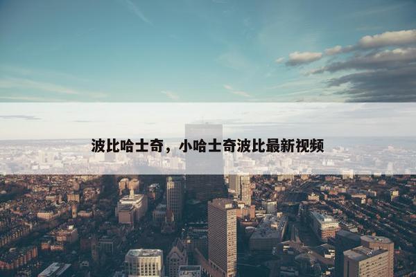 波比哈士奇,小哈士奇波比最新视频 波比哈士奇,小哈士奇波比最新视频