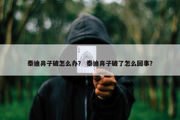 泰迪鼻子破怎么办？ 泰迪鼻子破了怎么回事？