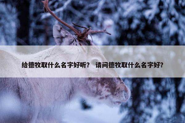 给德牧取什么名字好听? 请问德牧取什么名字好? 给德牧取什么名字好听? 请问德牧取什么名字好?