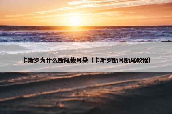 卡斯罗为什么断尾裁耳朵(卡斯罗断耳断尾教程) 卡斯罗为什么断尾裁耳朵(卡斯罗断耳断尾教程)