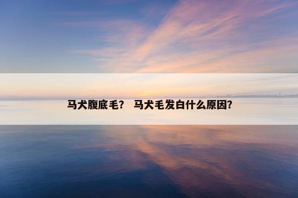 马犬腹底毛? 马犬毛发白什么原因? 马犬腹底毛? 马犬毛发白什么原因?