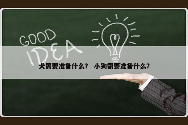 犬需要准备什么? 小狗需要准备什么? 犬需要准备什么? 小狗需要准备什么?