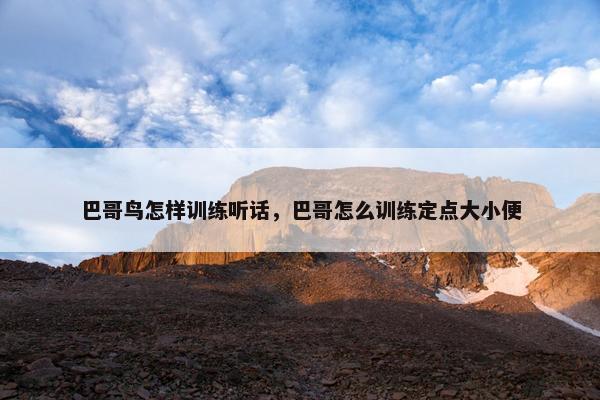 巴哥鸟怎样训练听话,巴哥怎么训练定点大小便 巴哥鸟怎样训练听话,巴哥怎么训练定点大小便