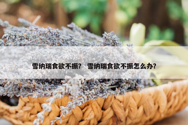 雪纳瑞食欲不振？ 雪纳瑞食欲不振怎么办？