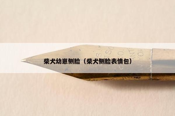 柴犬幼崽侧脸（柴犬侧脸表情包）