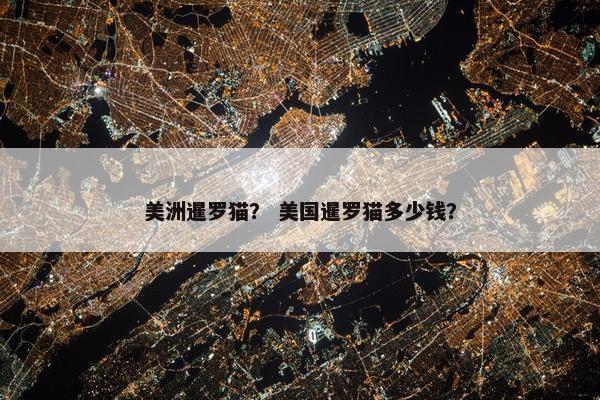 美洲暹罗猫？ 美国暹罗猫多少钱？