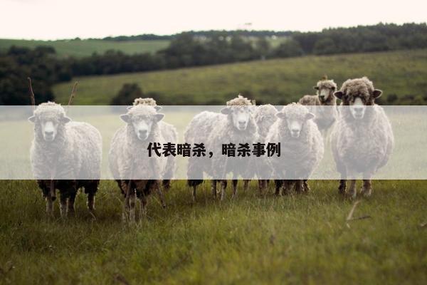 代表暗杀，暗杀事例