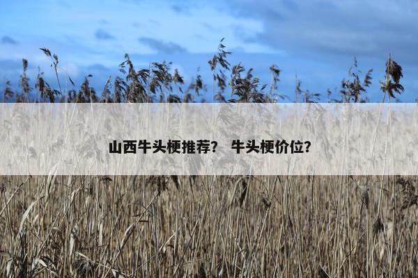 山西牛头梗推荐？ 牛头梗价位？