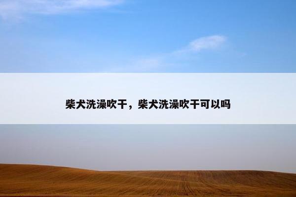 柴犬洗澡吹干，柴犬洗澡吹干可以吗