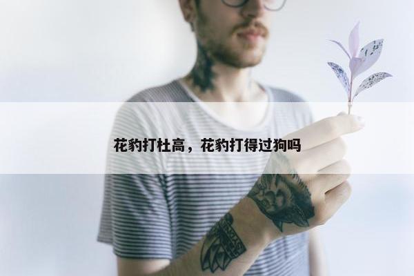 花豹打杜高，花豹打得过狗吗