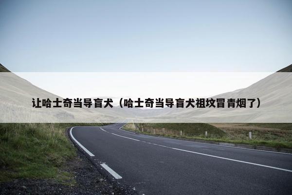 让哈士奇当导盲犬（哈士奇当导盲犬祖坟冒青烟了）