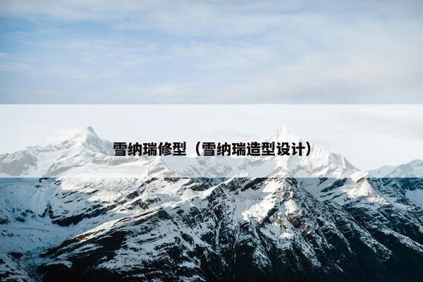雪纳瑞修型（雪纳瑞造型设计）