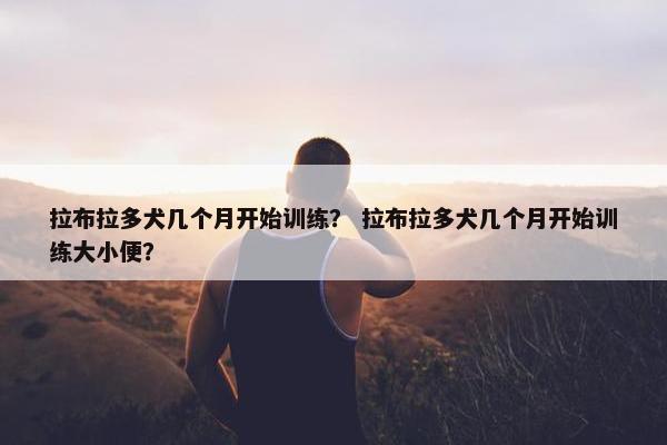 拉布拉多犬几个月开始训练? 拉布拉多犬几个月开始训练大小便? 拉布拉多犬几个月开始训练? 拉布拉多犬几个月开始训练大小便?
