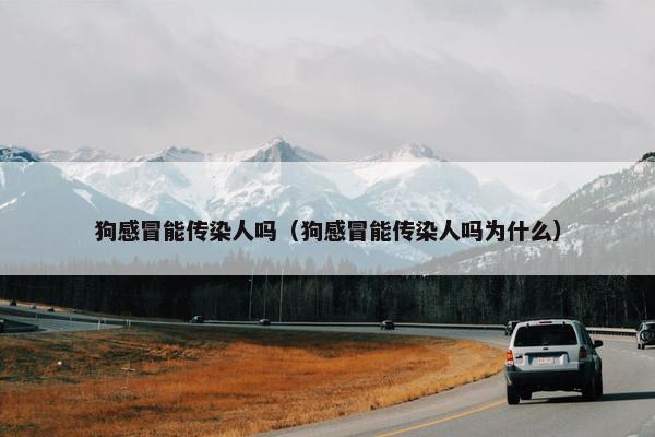 狗感冒能传染人吗（狗感冒能传染人吗为什么）