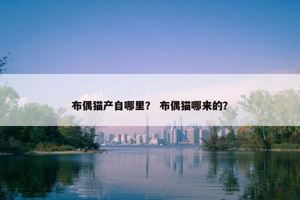 布偶猫产自哪里？ 布偶猫哪来的？