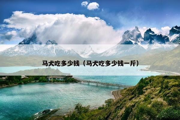 马犬吃多少钱(马犬吃多少钱一斤) 马犬吃多少钱(马犬吃多少钱一斤)