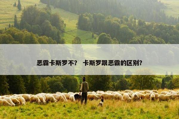恶霸卡斯罗不？ 卡斯罗跟恶霸的区别？