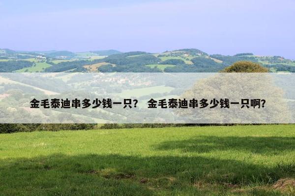 金毛泰迪串多少钱一只？ 金毛泰迪串多少钱一只啊？