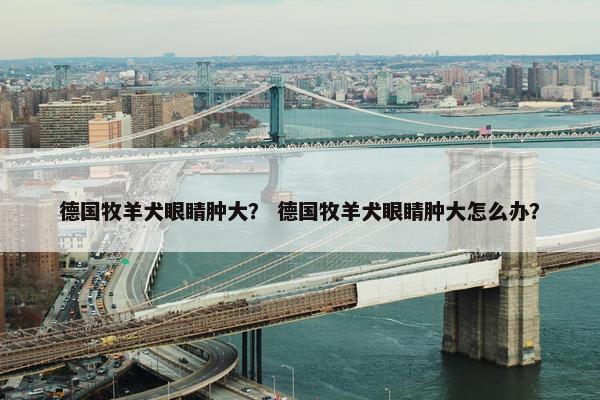 德国牧羊犬眼睛肿大？ 德国牧羊犬眼睛肿大怎么办？