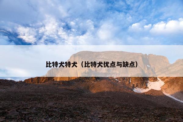 比特犬特犬（比特犬优点与缺点）