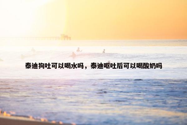 泰迪狗吐可以喝水吗，泰迪呕吐后可以喝酸奶吗
