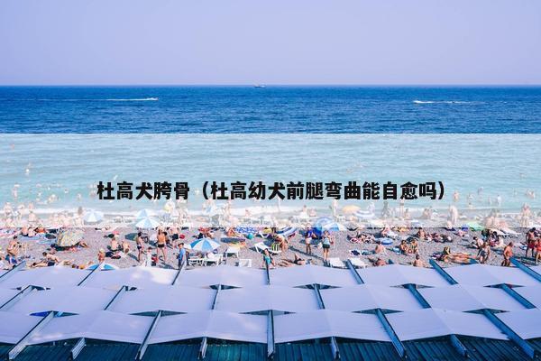 杜高犬胯骨（杜高幼犬前腿弯曲能自愈吗）