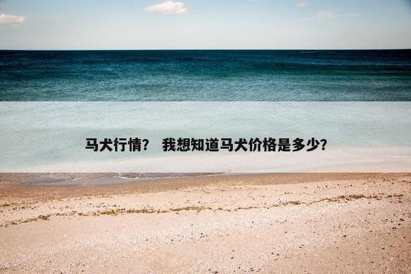 马犬行情？ 我想知道马犬价格是多少？
