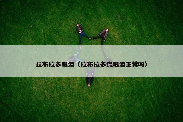 拉布拉多眼泪（拉布拉多流眼泪正常吗）