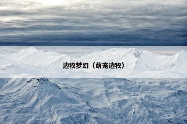 边牧梦幻（萌宠边牧）